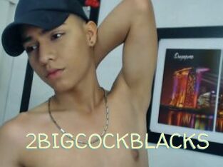 2BIGCOCKBLACKS