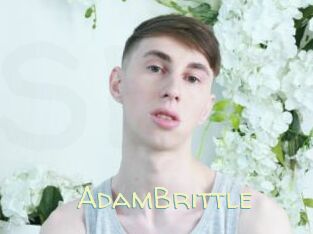 AdamBrittle