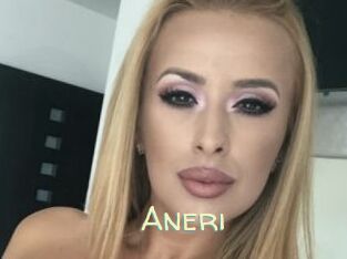 Aneri