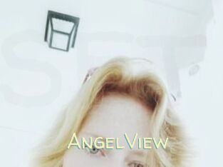 AngelView