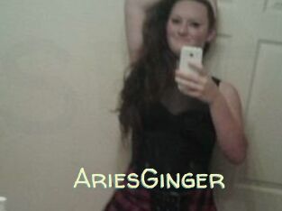 AriesGinger