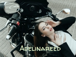 Adelinareed