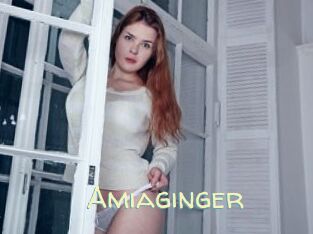 Amiaginger