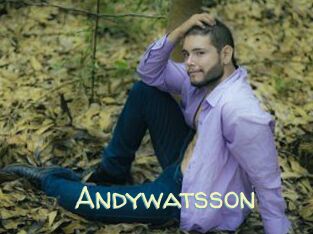 Andywatsson