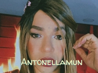 Antonellamun