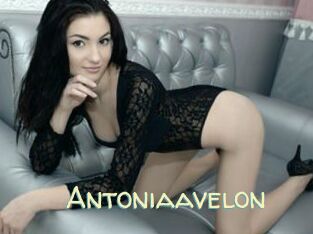 Antoniaavelon