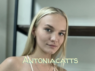 Antoniacatts