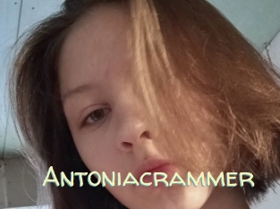 Antoniacrammer