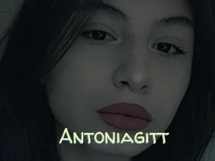 Antoniagitt