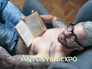 Antonybigexpo