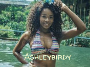 Ashleybirdy