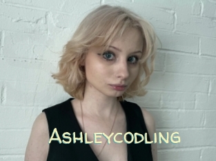 Ashleycodling