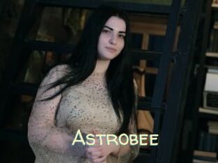 Astrobee