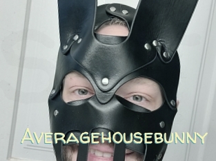 Averagehousebunny