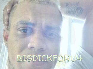 BIGDICKFORU4