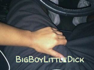 BigBoyLittleDick