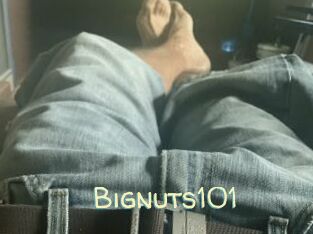 Bignuts101