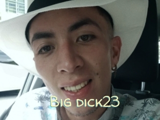 Big_dick23