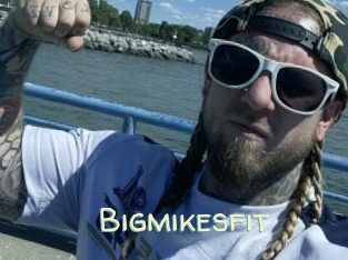 Bigmikesfit