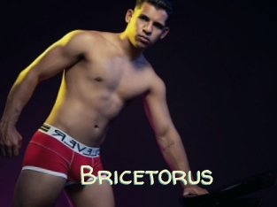 Bricetorus