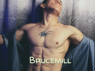 Brucemill