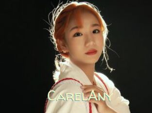 CarelAny