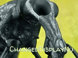 ChangedDisplayNu