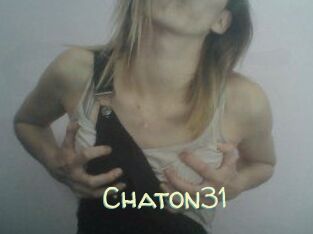 Chaton31