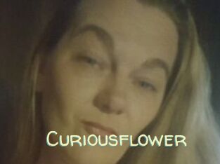 Curiousflower