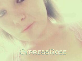 Cypress_Rose