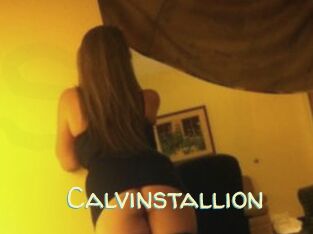 Calvinstallion