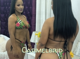 Carmelbrid