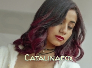 Catalinafox