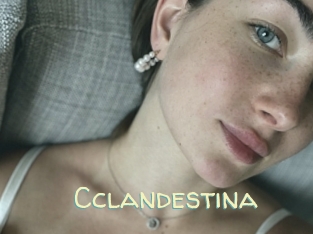 Cclandestina