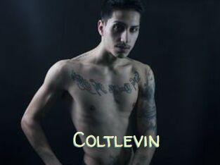 Coltlevin