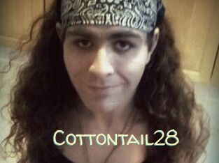 Cottontail28