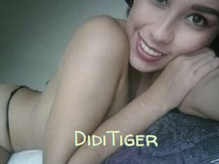 DidiTiger