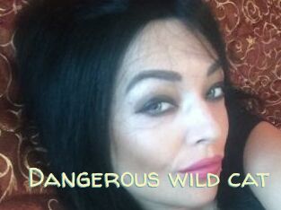 Dangerous_wild_cat