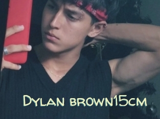 Dylan_brown15cm