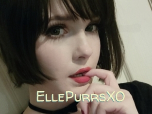 EllePurrsXO