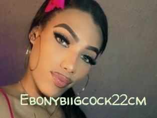 Ebonybiigcock22cm