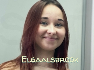 Elgaalsbrook