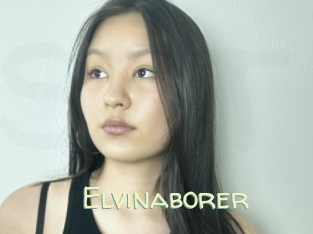 Elvinaborer