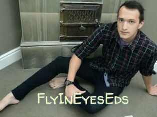 FlyInEyesEds