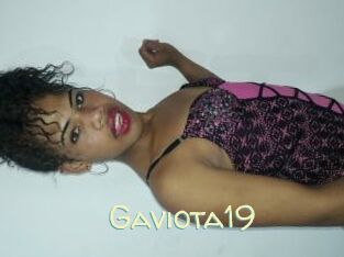 Gaviota19