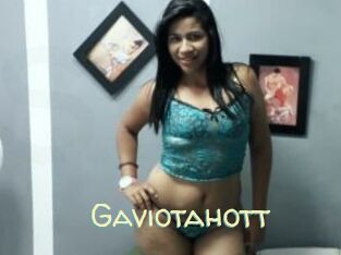 Gaviotahott