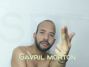 Gavril_morton