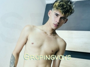 Gropingvoys