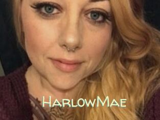 HarlowMae