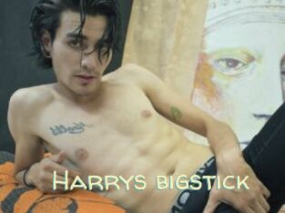 Harrys_bigstick